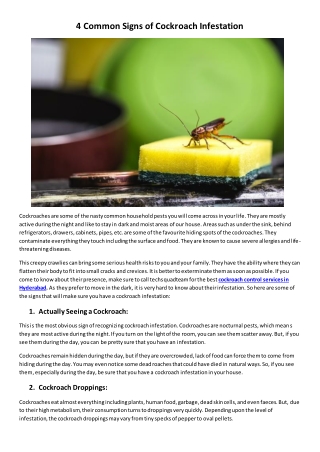 4 Common Signs of Cockroach Infestation