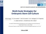Multi-Scale Strategies for Embryonic Stem Cell Culture