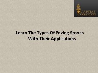 Learn The Types Of Paving Stones With Their Applications