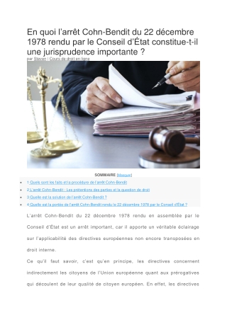 L'arrêt Cohn-Bendit du 22 décembre 1978 est-il une jurisprudence importante