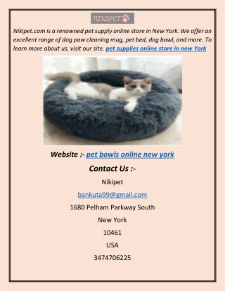buy cat bowls online USA sa