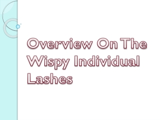 Overview On The Wispy Individual Lashes