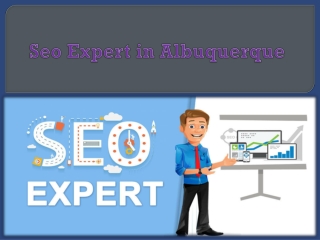 Seo Expert in Albuquerque