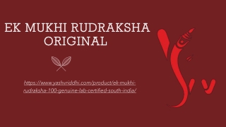 EK MUKHI RUDRAKSHA ORIGINAL