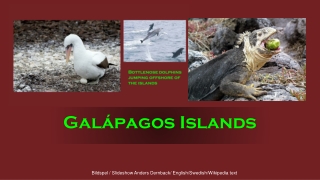 Galapagos Islands