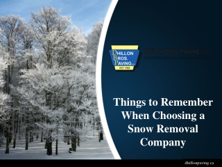 Things to Remember When Choosing a Snow Removal Company