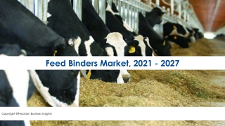 Feed Binders Market Share, Trends, Competitor Analysis 2021-2027