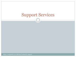 Technical support services for software and application IT support services