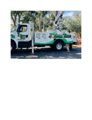 Tree Removal Cape Coral, FL