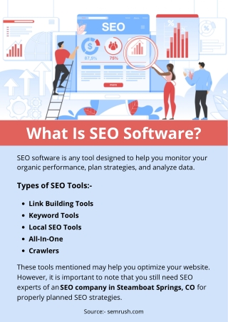 What Is SEO Software?