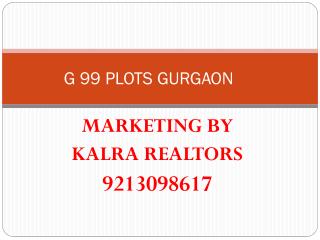 plots in gurgaon* 9873471133 *g99* 9213098617 * google