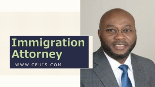 A Skilled Immigration Attorney in a Law Firm