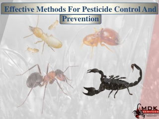 Effective Methods For Pesticide Control And Prevention