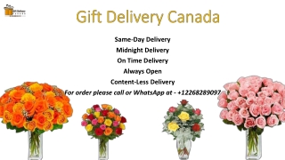 Order Roses & Roses Bouquet Delivery Online in Canada | Gift Delivery Canada