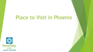 Best Place to Visit in Phoenix