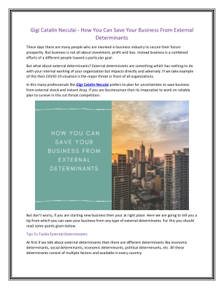 Gigi Catalin Neculai - How You Can Save Your Business From External Determinants