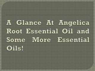 A Glance At Angelica Root Essential Oil