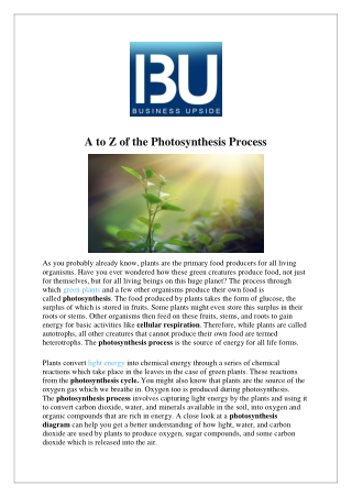 A to Z of the Photosynthesis Process