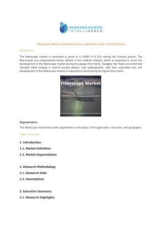 Fiberscope Market evaluated to have a significant share in North America