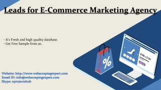 Leads for E-Commerce Marketing Agency