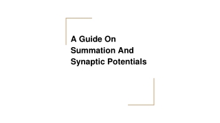 A Guide On Summation And Synaptic Potentials