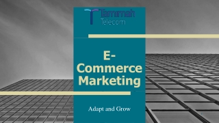 All You Need to Know About E Commerce and Its Marketing