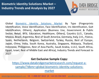 Biometric Identity Solutions Market