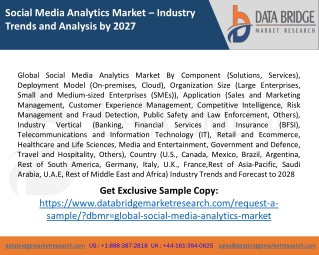 Social Media Analytics Market