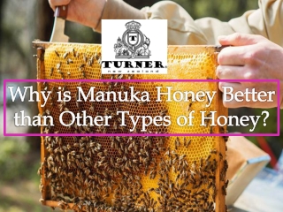 Why is Manuka Honey Better than Other Types of Honey