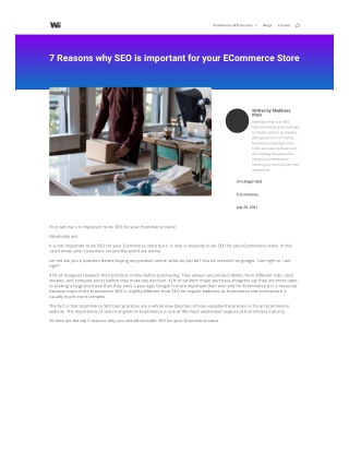 Ecommerce SEO Services