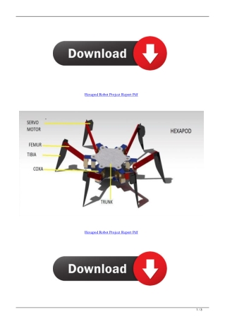 Hexapod Robot Project Report Pdf