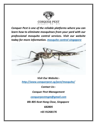 Mosquito Control Singapore | Conquer Pest