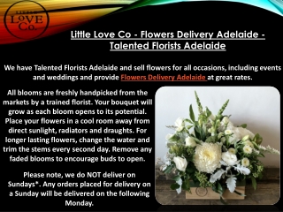 Flower Delivery Adelaide - Creative Workshops Adelaide - Little Love Co Flowers