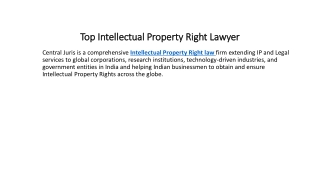Top Intellectual Property Right Lawyer