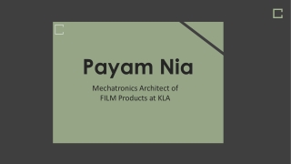 Payam Nia - Provides Consultation in Management Skills