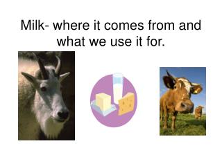 Milk- where it comes from and what we use it for.