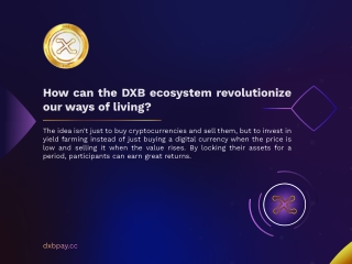 How can the DXB Ecosystem revolutionise our way of living