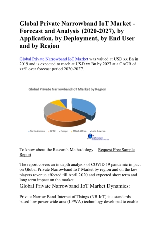 Global Private Narrowband IoT Market