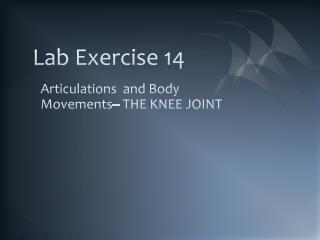 Lab Exercise 14