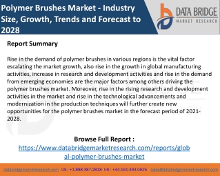 Polymer Brushes Market | Production, Supply and Demand Forecast by Product types