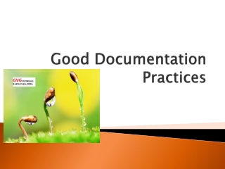 Good Documentation Practices