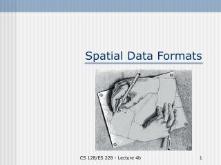 Spatial Data Formats