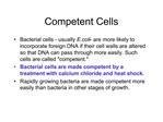 Competent Cells
