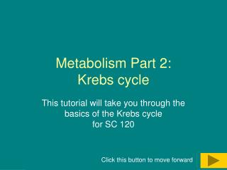 Metabolism Part 2: Krebs cycle