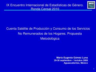 IX Encuentro Internacional de Estadísticas de Género. Ronda Censal 2010