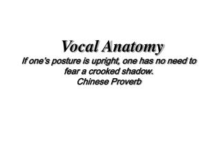 Vocal Anatomy If one’s posture is upright, one has no need to fear a crooked shadow. Chinese Proverb