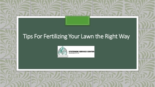 Tips For Fertilizing Your Lawn the Right Way