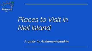 Places to Visit in Neil Island