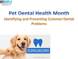 What is Pet Dental Health Month | How to keep Pet Teeth Healhty | VetSupply