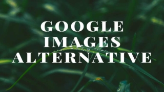 Guide of Google Images Alternative